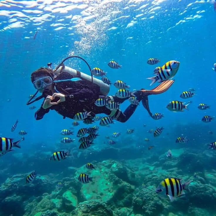 Scuba Combo
