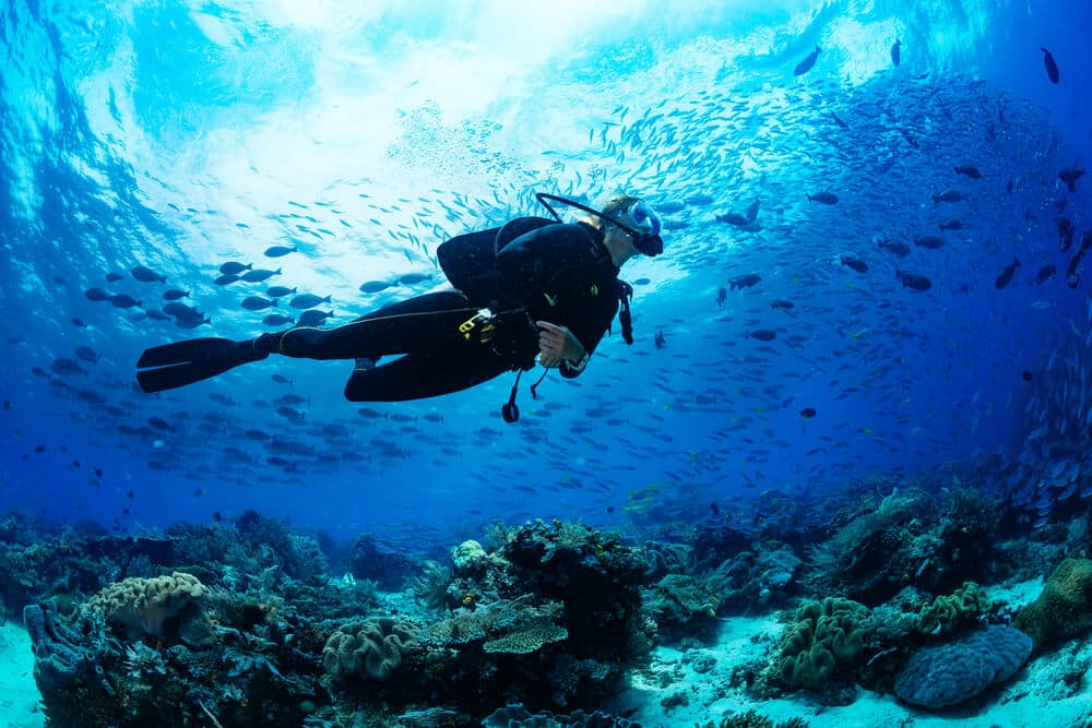 Scuba Combo
